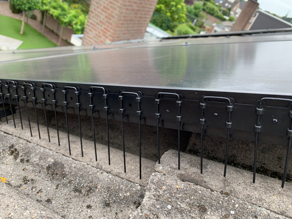 Vogelpinnen Zonnepanelen 50 cm Transparant — afbeelding 4