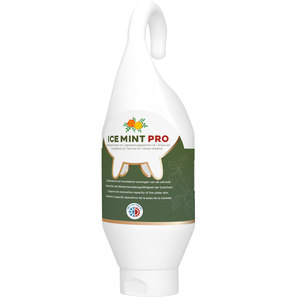 Ice Mint Pro Gel Sta- / Hangtube 500 ml