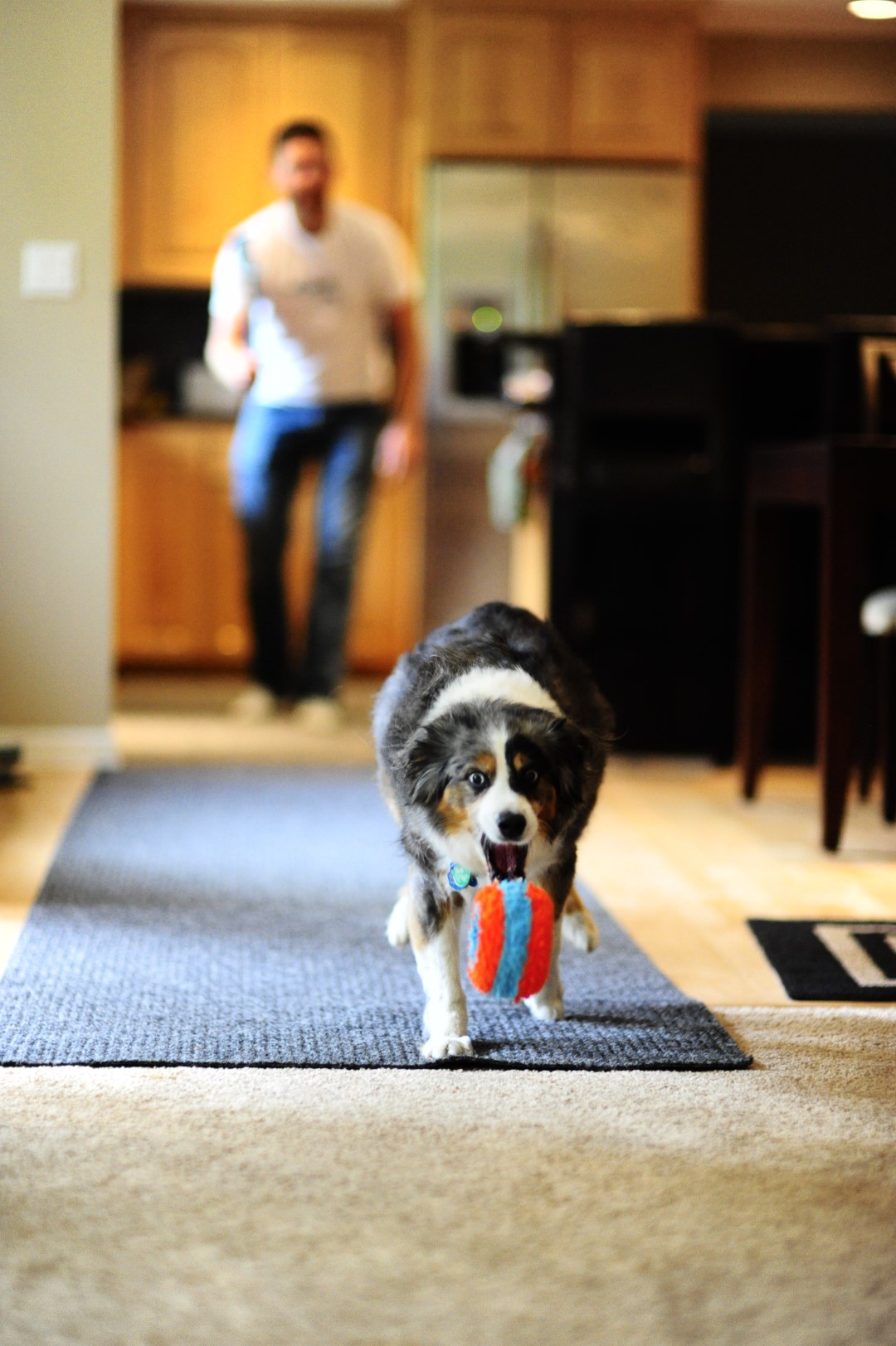 Chuckit! Indoor Roller — afbeelding 6