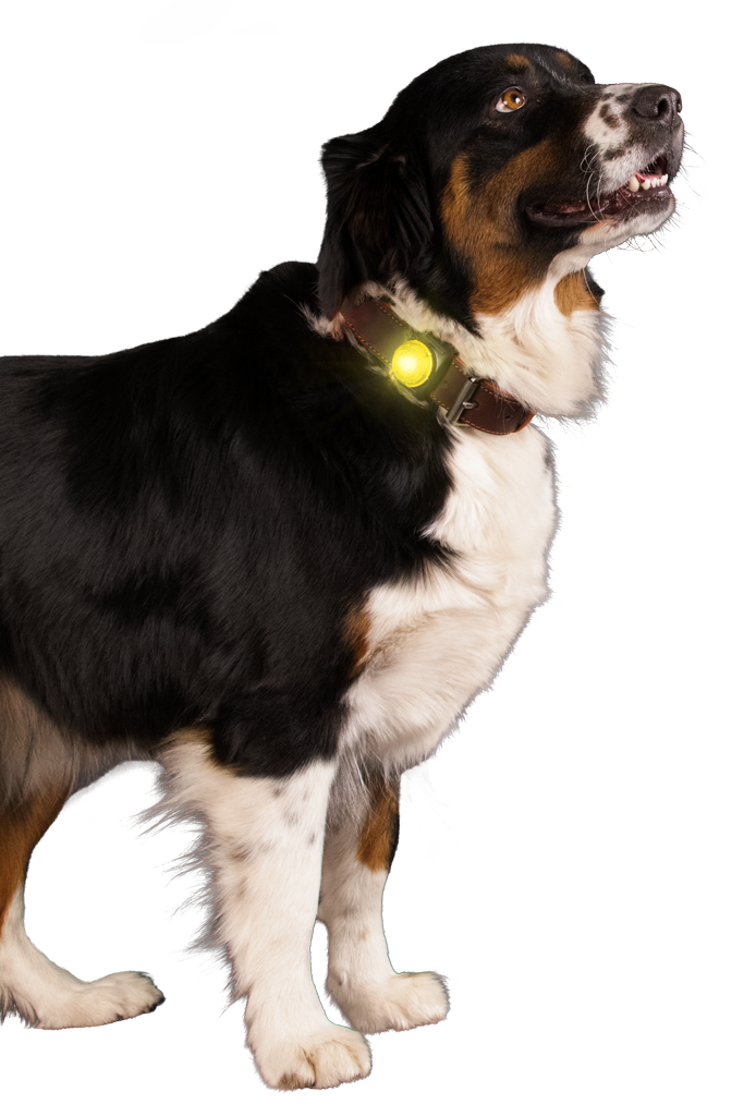 Nightwalk Safety Light Geel — afbeelding 3