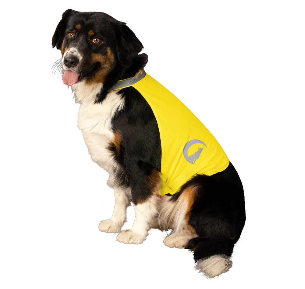 Nightwalk Safety Vest Geel M — afbeelding 3