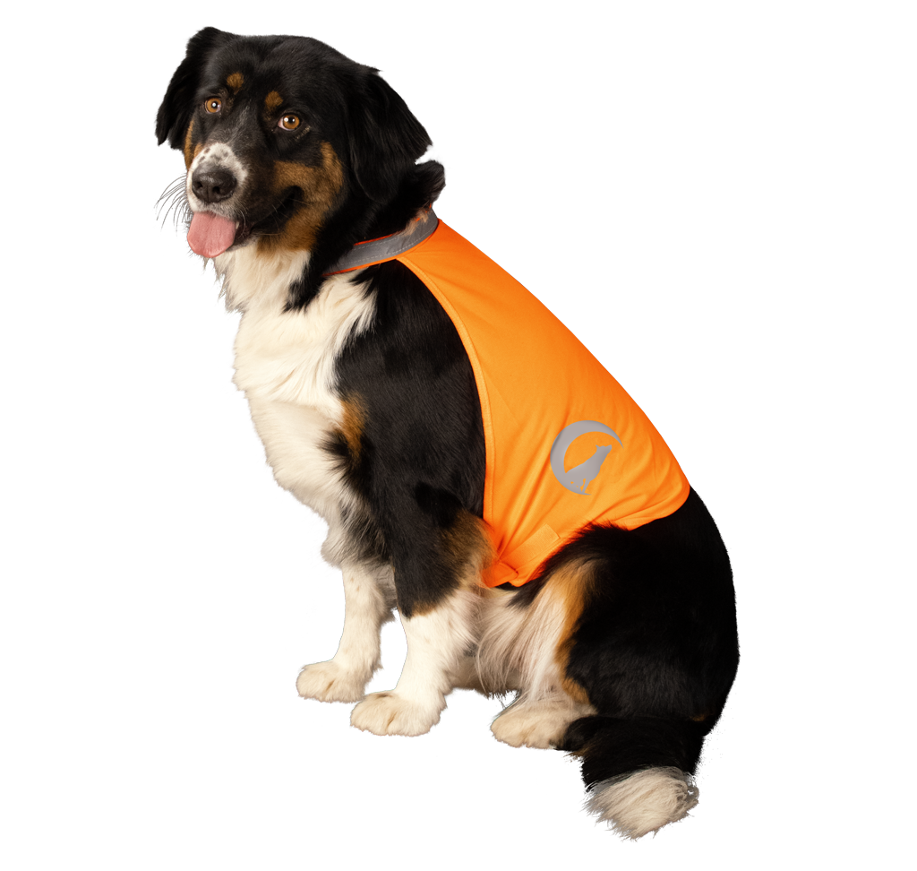 Nightwalk Safety Vest Oranje S — afbeelding 3