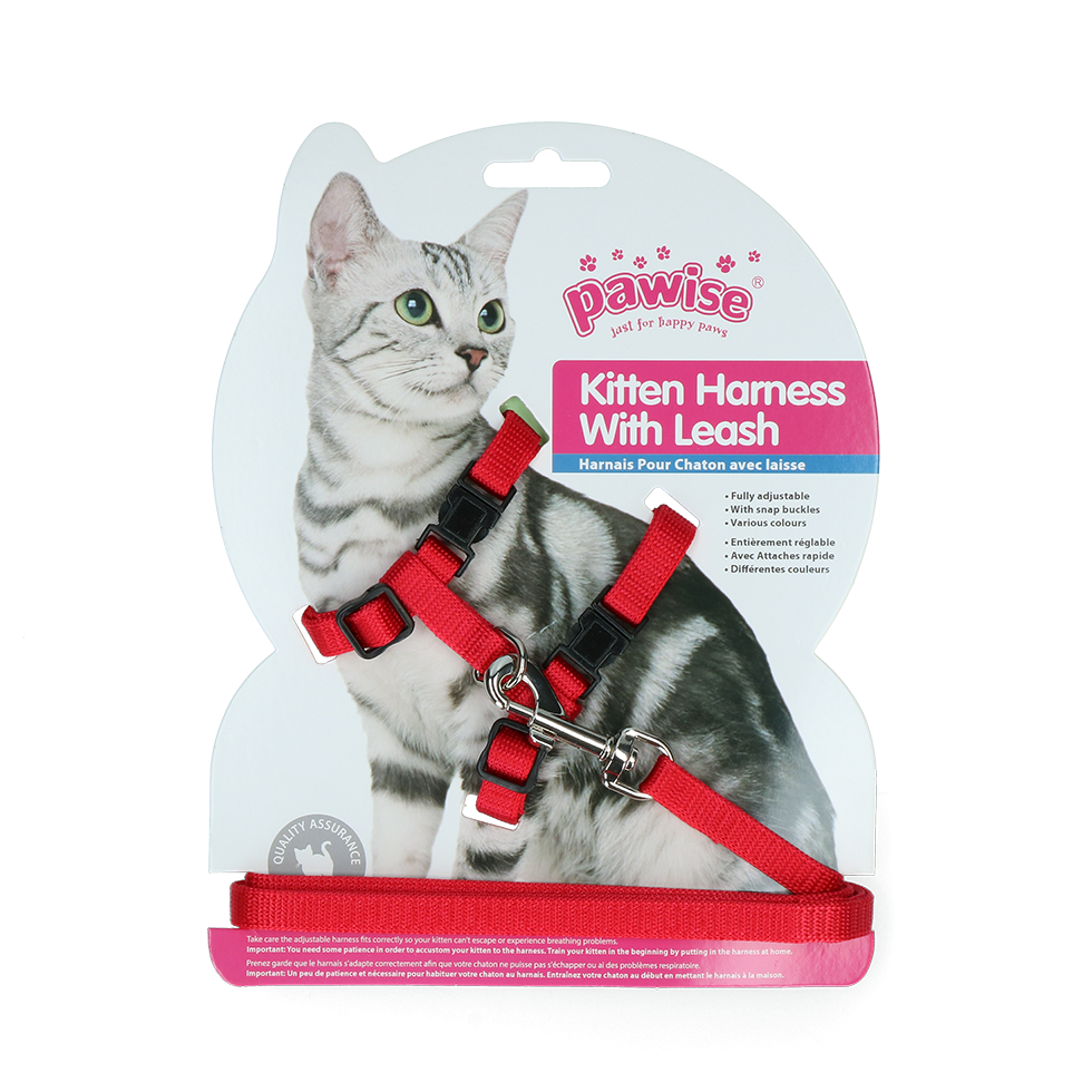 Pawise Kitten Harness With Leash Red/Blue S — afbeelding 2