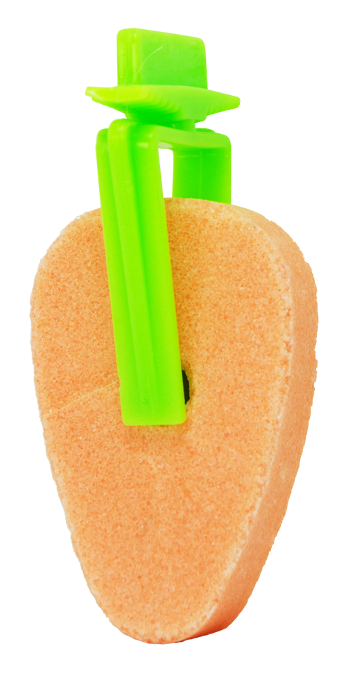 Pawise Play & Chew Salt Carrot — afbeelding 3