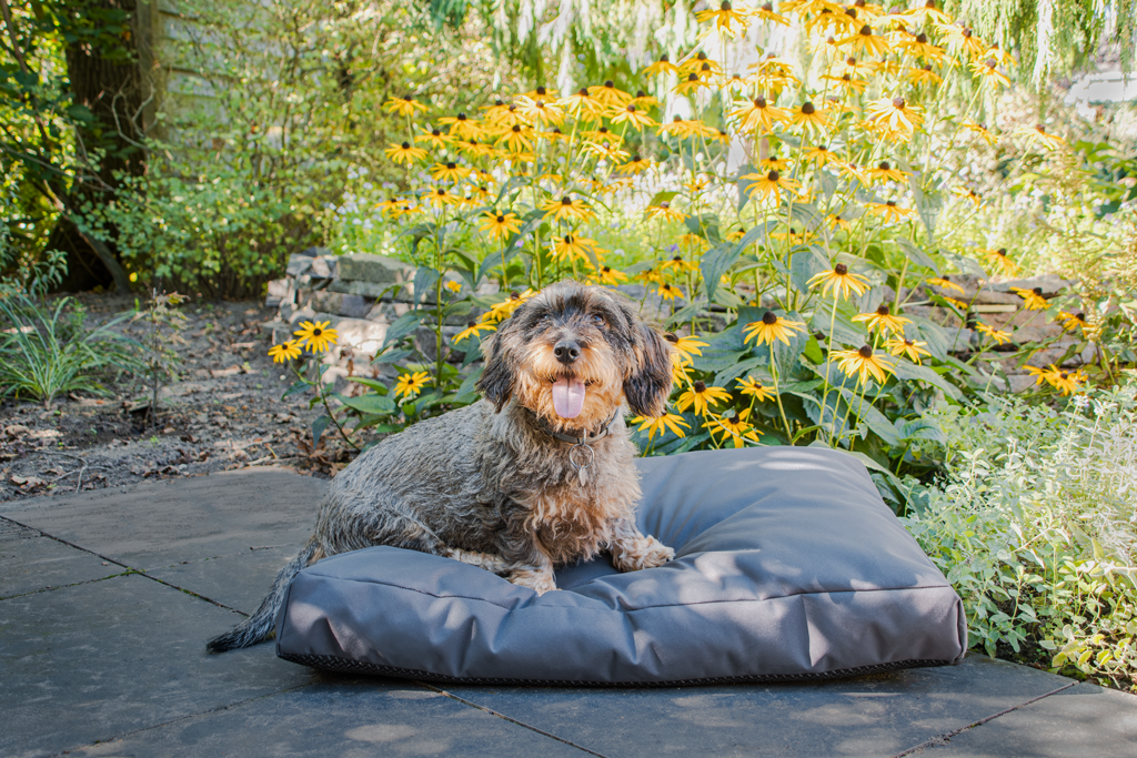 Let's Sleep Cushy Cloud Hondenkussen Buiten M Antraciet — afbeelding 2