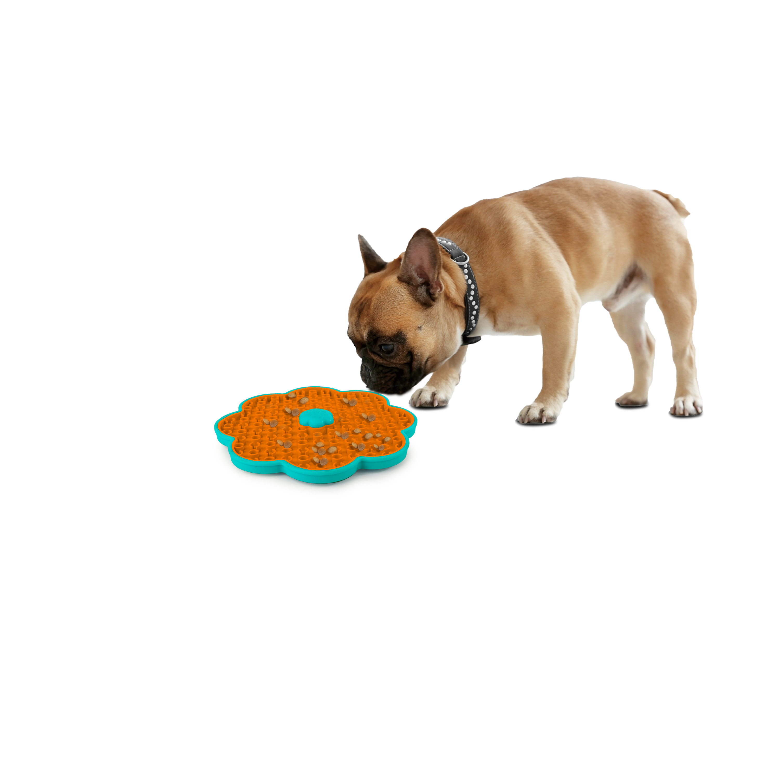 AFP Calming Pals Lick-A-Disk — afbeelding 5