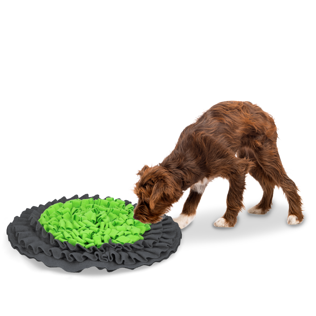 Eat Slow Live Longer Snuffle Mat — afbeelding 2