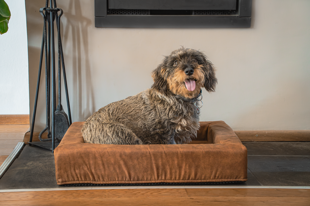 Let's Sleep Comfy Cushion Hondenmand L Antraciet — afbeelding 2