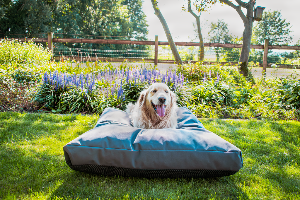 Let's Sleep Cushy Cloud Hondenkussen Buiten XL Antraciet — afbeelding 2