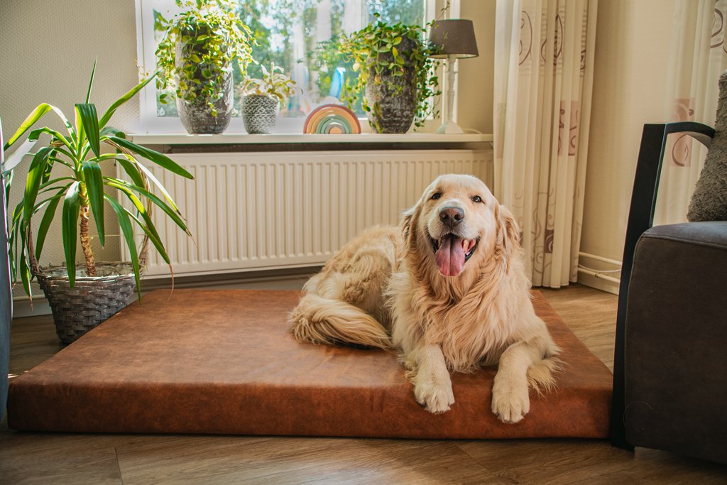 Let's Sleep Mellow Mattress Orthopedisch Kussen XL Cognac — afbeelding 3