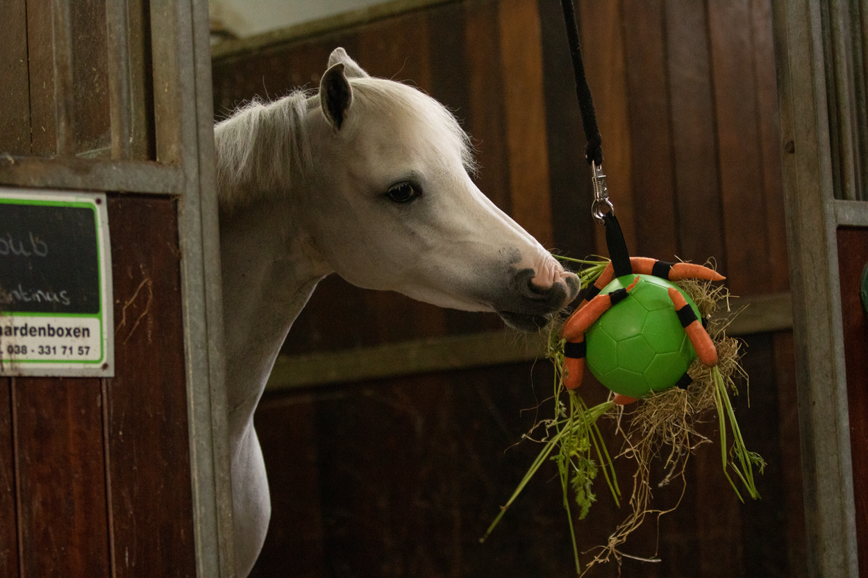 Excellent Horse Fun Play Ball Roze — afbeelding 4