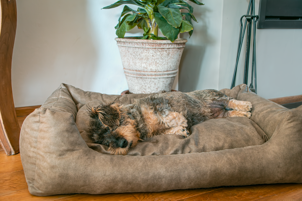 Let's Sleep Sweet Dreams Hondenmand Met Kussen XL Taupe — afbeelding 3