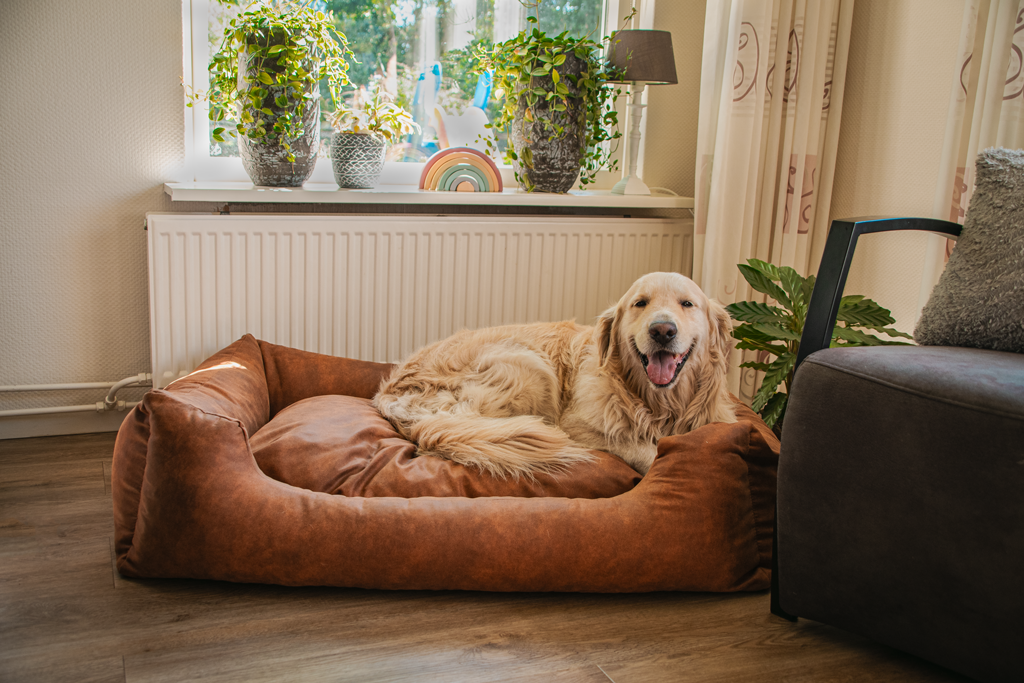 Let's Sleep Sweet Dreams Hondenmand Met Kussen XL Cognac — afbeelding 2