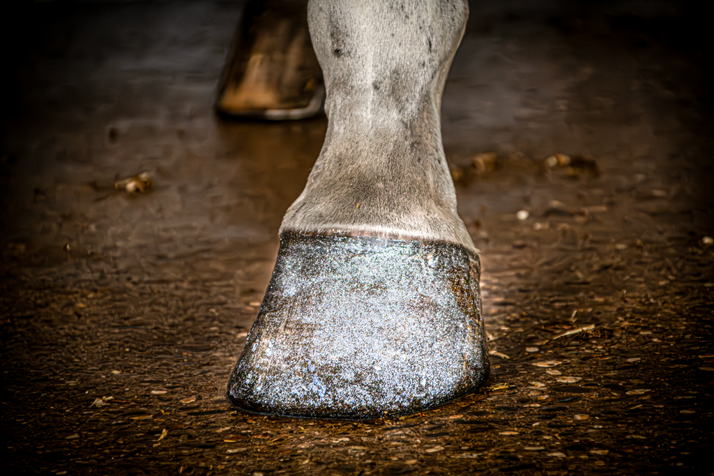 Excellent Horse Hi Gloss Glitter Hoof Polish Silver 150 ml — afbeelding 2