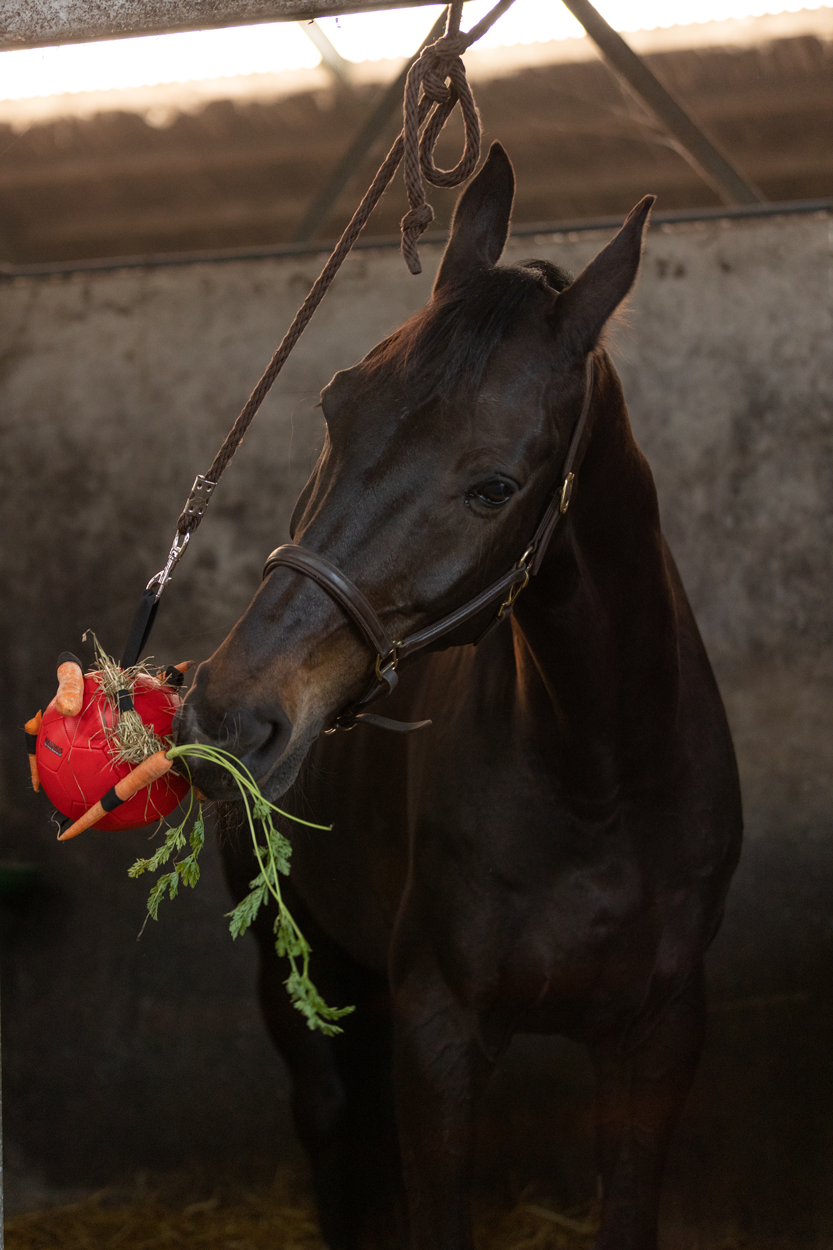 Excellent Horse Fun Play Ball Roze — afbeelding 5
