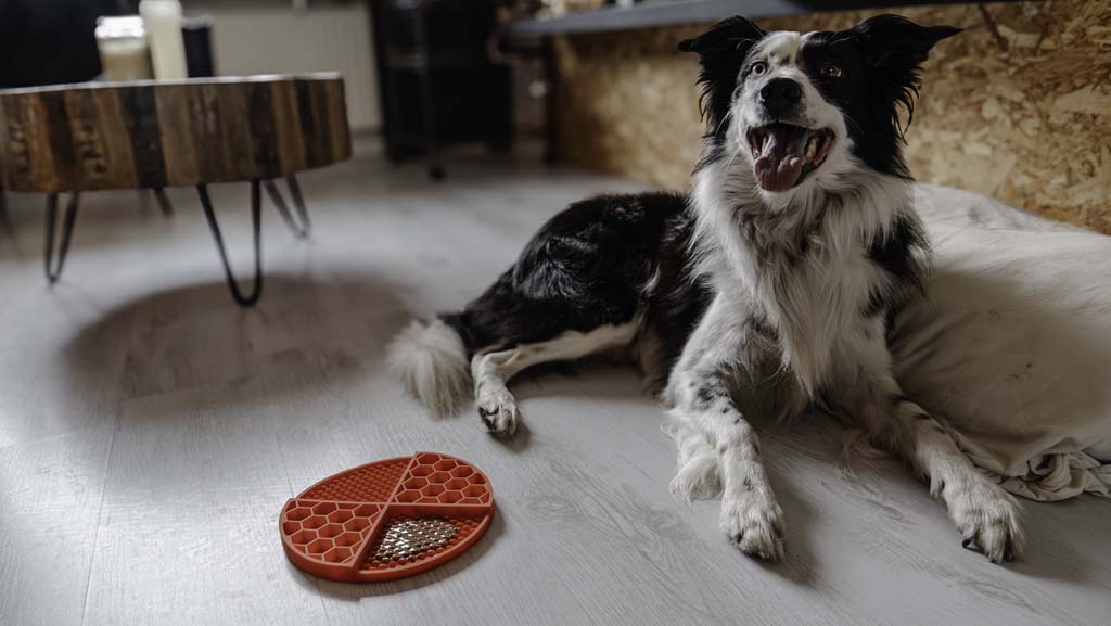 Eat Slow Live Longer Lick Mat Dimensions Circle Rood — afbeelding 5