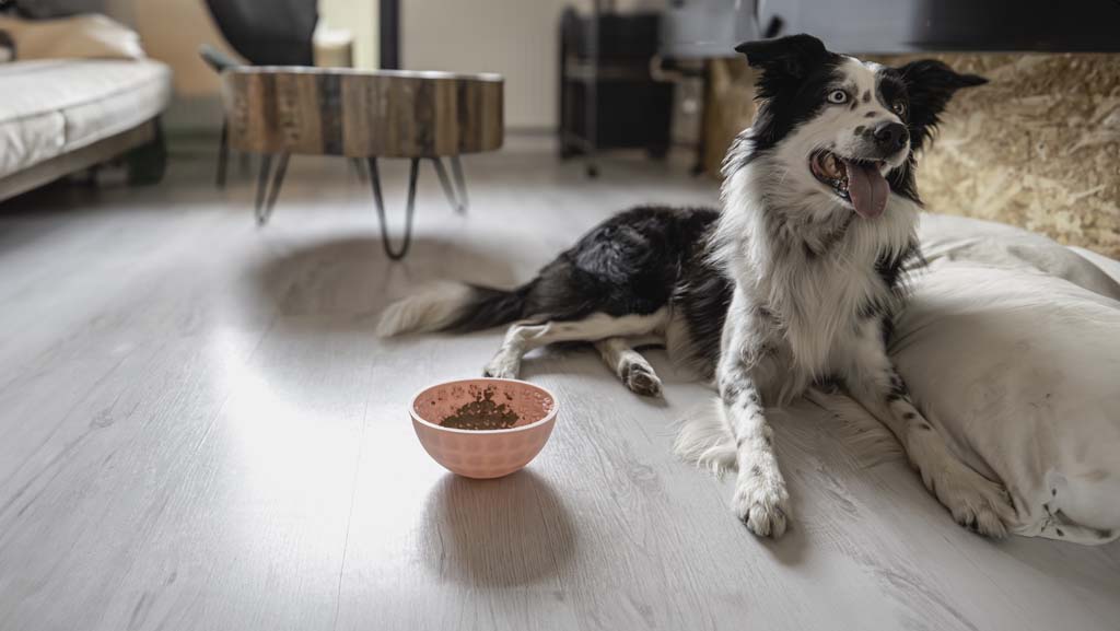 Eat Slow Live Longer Lick Mat Wobble Bowl Roze — afbeelding 6
