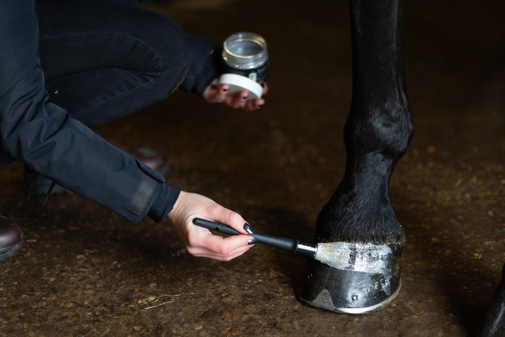 Excellent Horse Hi Gloss Glitter Hoof Polish Silver 150 ml — afbeelding 3