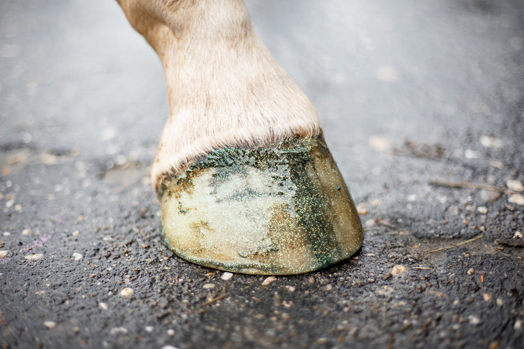 Excellent Horse Hi Gloss Glitter Hoof Polish Green 150 ml — afbeelding 3