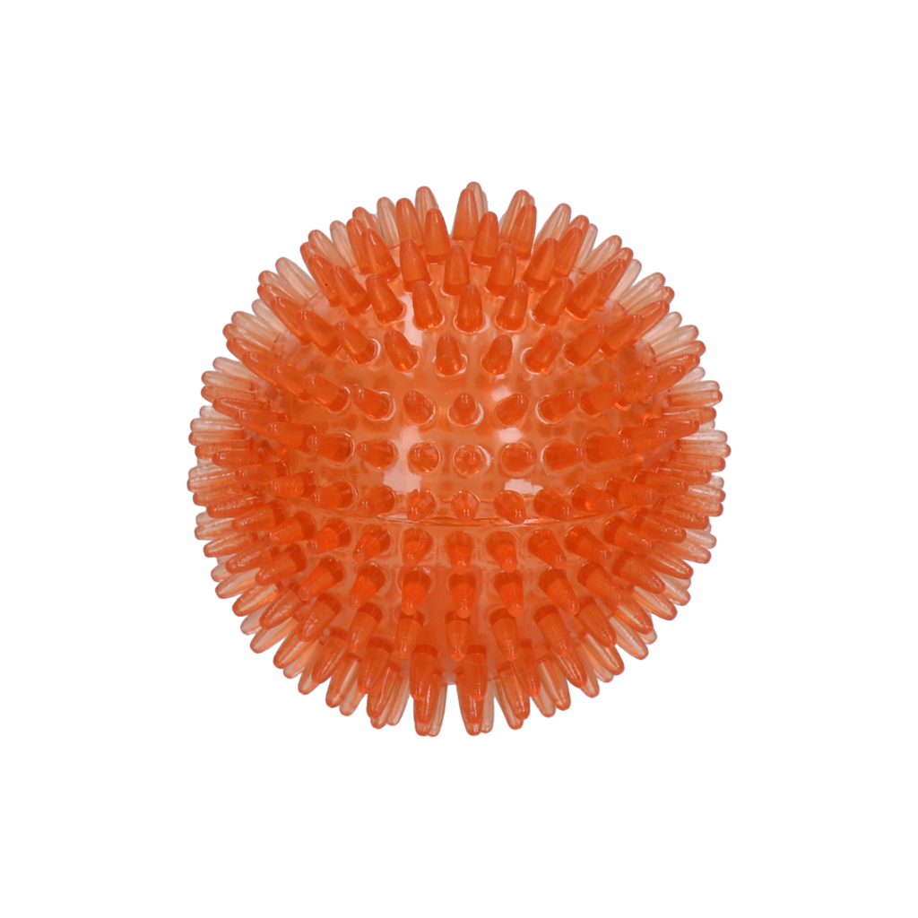 Dog Comets Exoplanet Egelbal M Oranje — afbeelding 2
