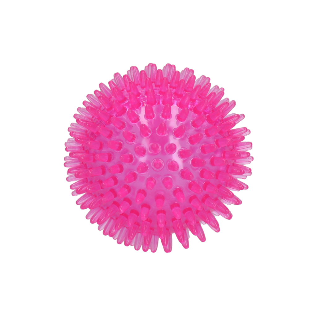 Dog Comets Exoplanet Egelbal M Roze — afbeelding 2