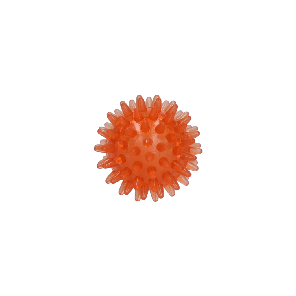 Dog Comets Exoplanet Egelbal S Oranje — afbeelding 2