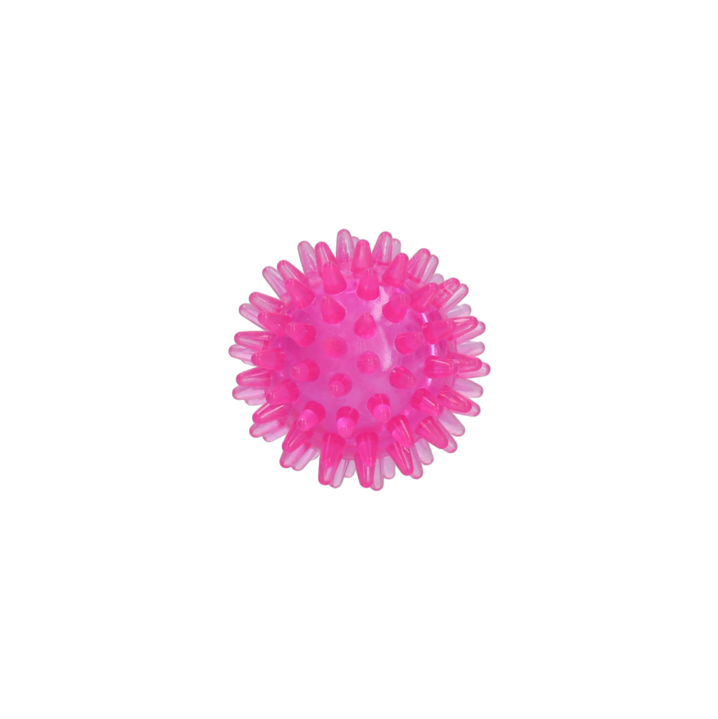 Dog Comets Exoplanet Egelbal S Roze — afbeelding 2