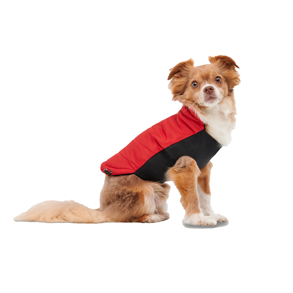 Goo-eez Mock Neck Signature Wrap Jacket XS Rood/Zwart — afbeelding 3