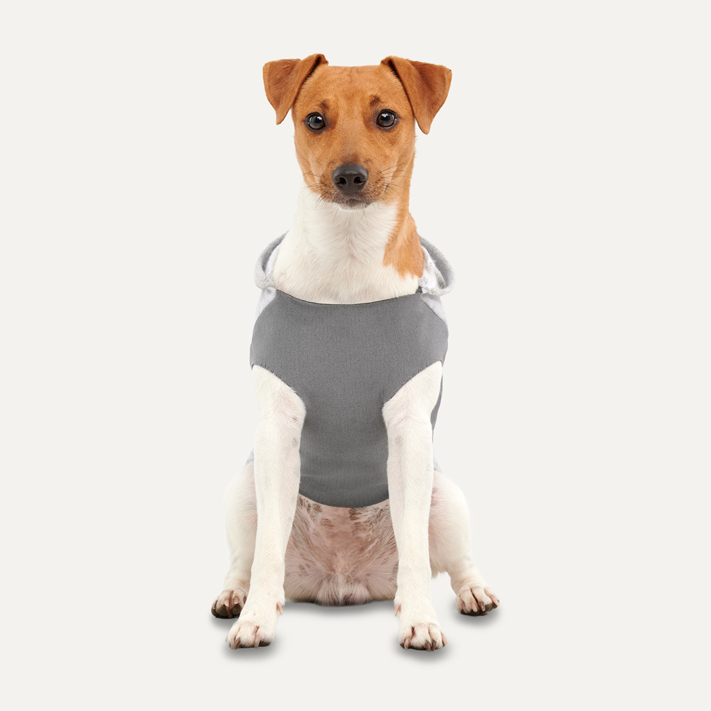 Goo-eez Kangaroo Fleece Hoodie XS Grijs — afbeelding 3