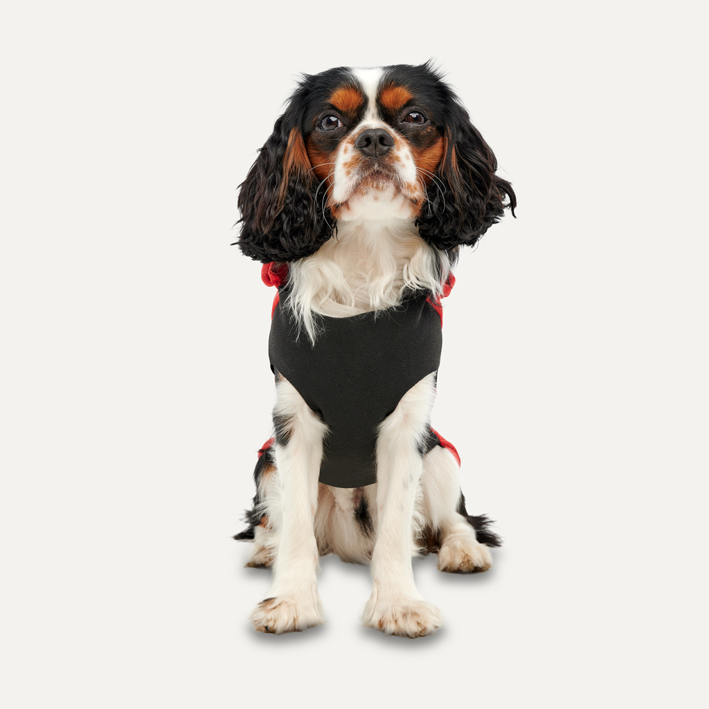 Goo-eez Kangaroo Fleece Hoodie XL Rood/Zwart — afbeelding 2