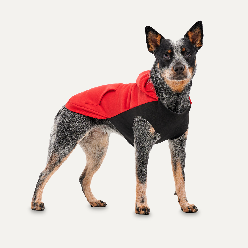Goo-eez Kangaroo Fleece Hoodie XXL Rood/Zwart — afbeelding 3