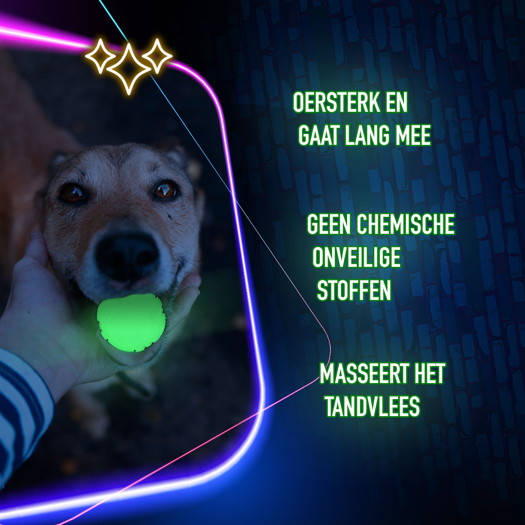 2 Glow Cracking & Tracking Stick — afbeelding 6