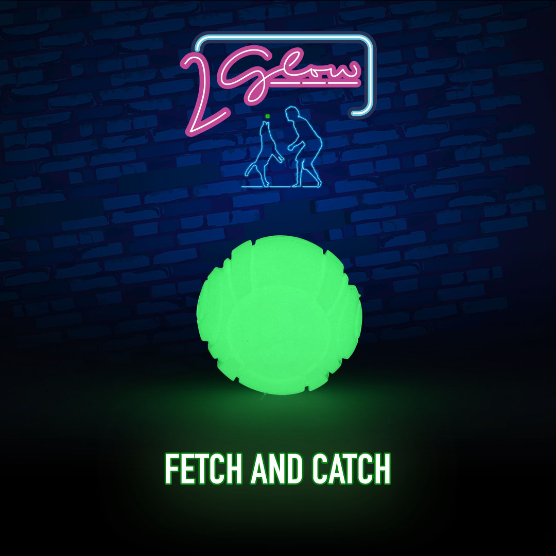 2 Glow Fetch & Play — afbeelding 2