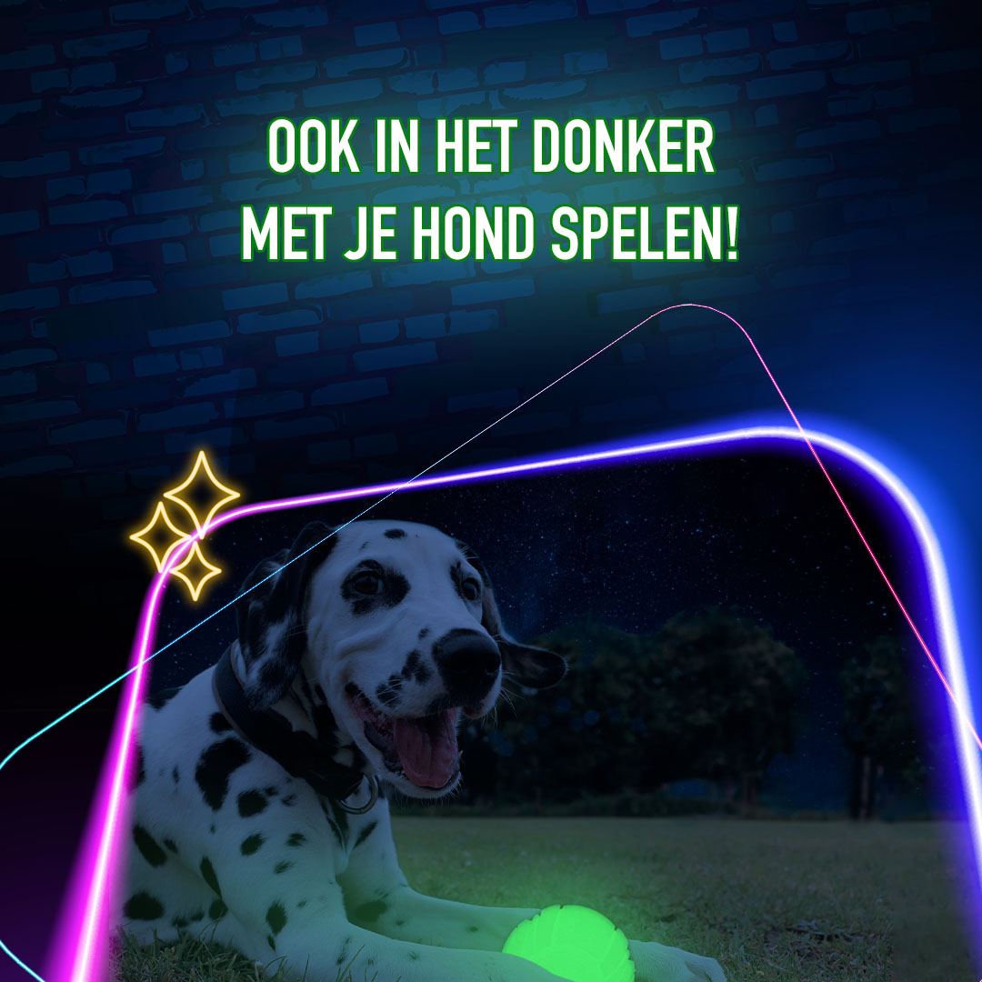 2 Glow Fetch & Play — afbeelding 4