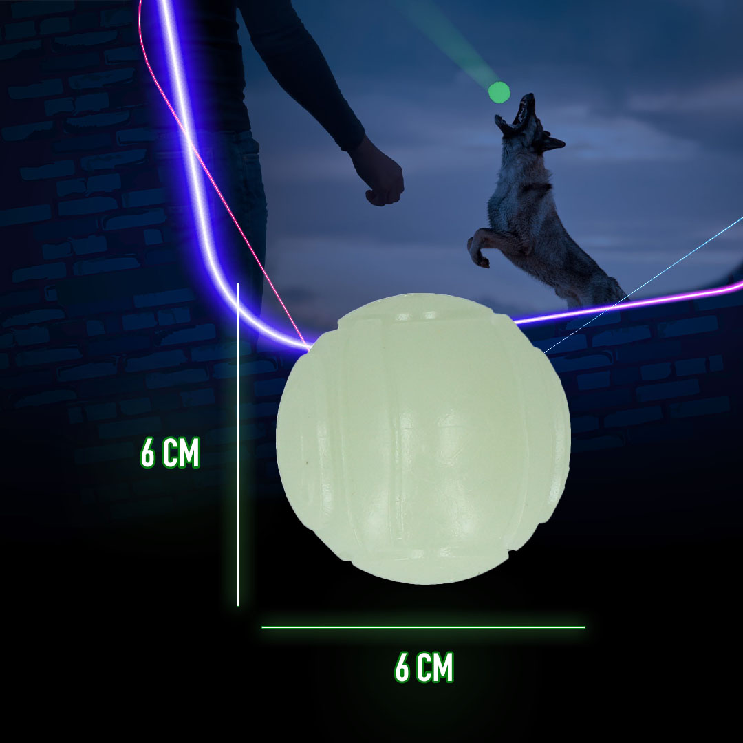 2 Glow Fetch & Play — afbeelding 6