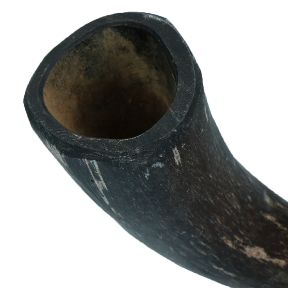 Viking Horn Whole S — afbeelding 3