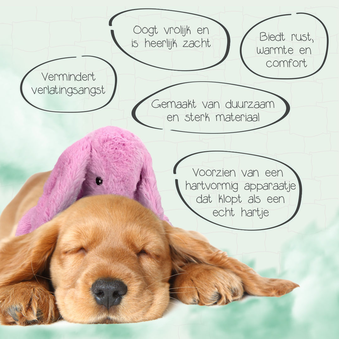 Cozy Dog Bunny Roze — afbeelding 3