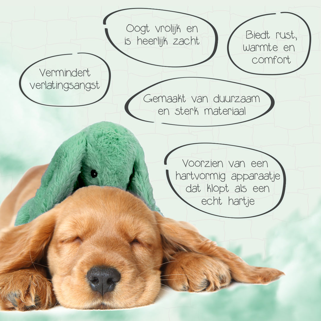 Cozy Dog Bunny Groen — afbeelding 3
