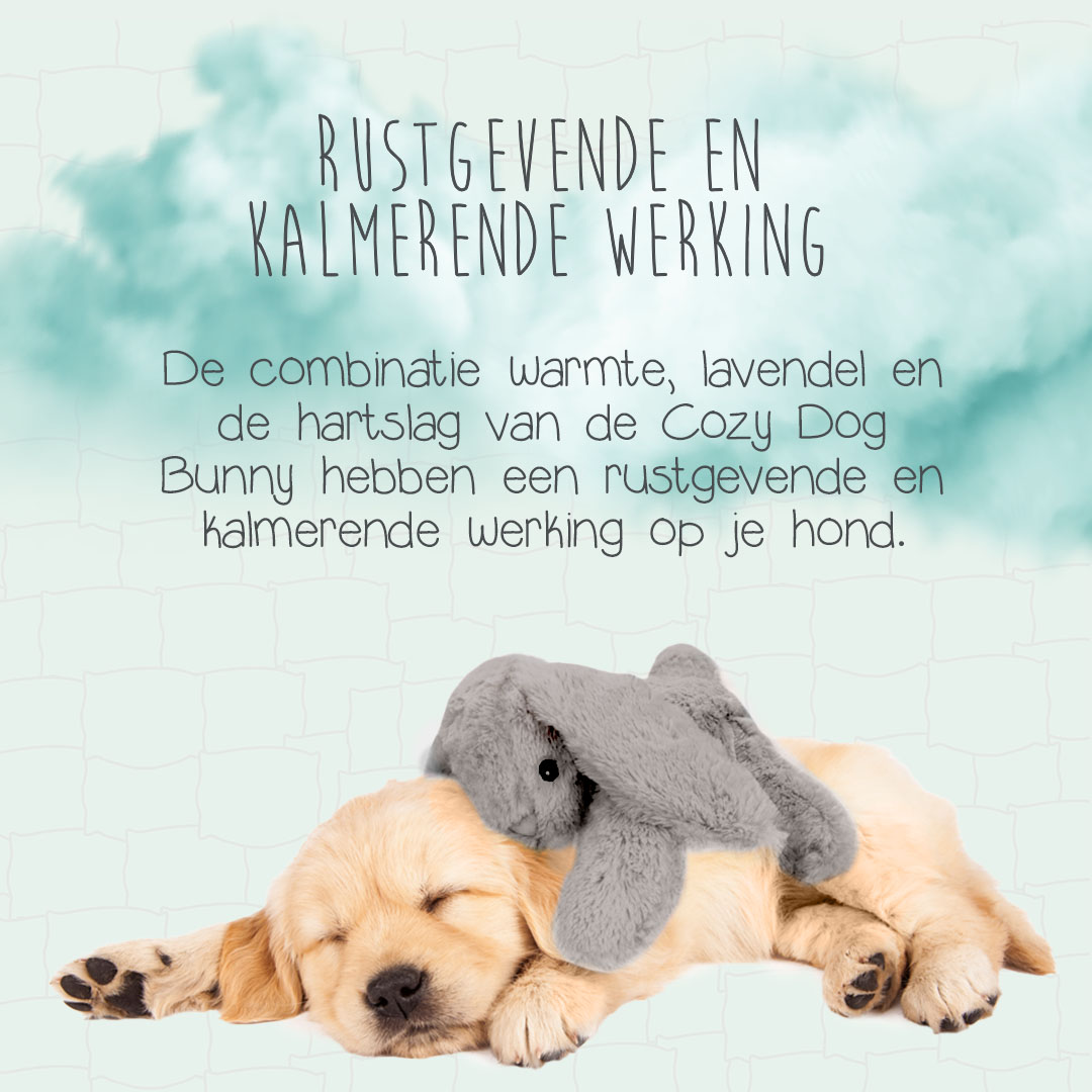 Cozy Dog Bunny Grijs — afbeelding 3