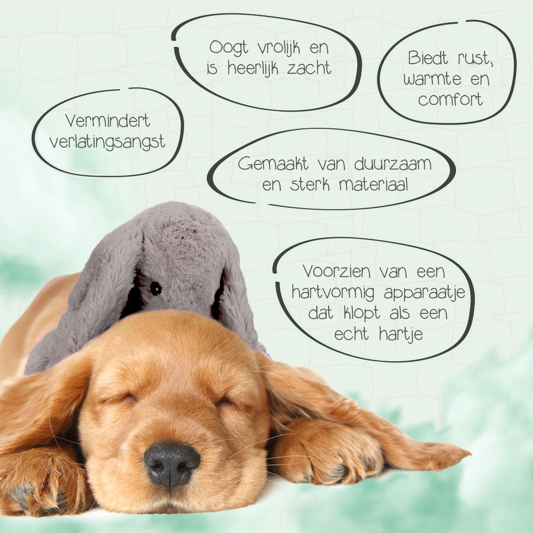 Cozy Dog Bunny Grijs — afbeelding 4