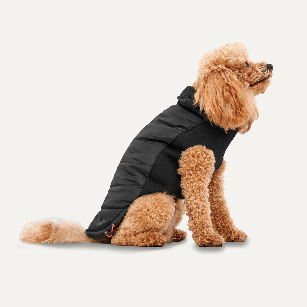 Goo-eez Mock Neck Signature Wrap Jacket XL Zwart
