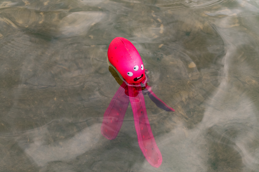 Dog Comets Alien Octo M Roze — afbeelding 4