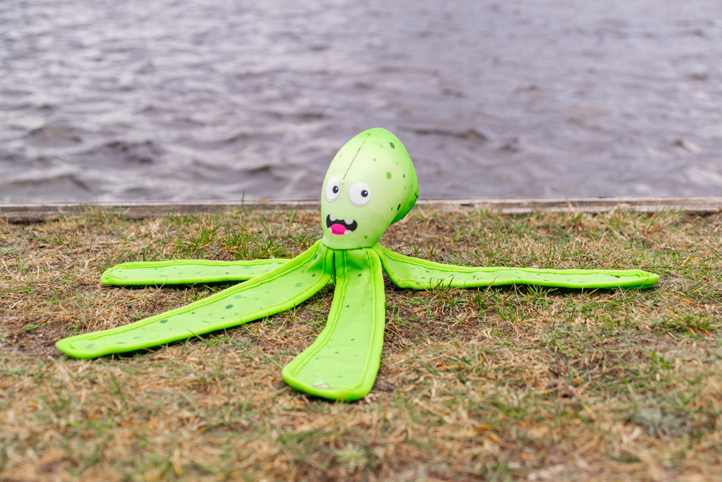 Dog Comets Alien Octo L Oranje — afbeelding 5