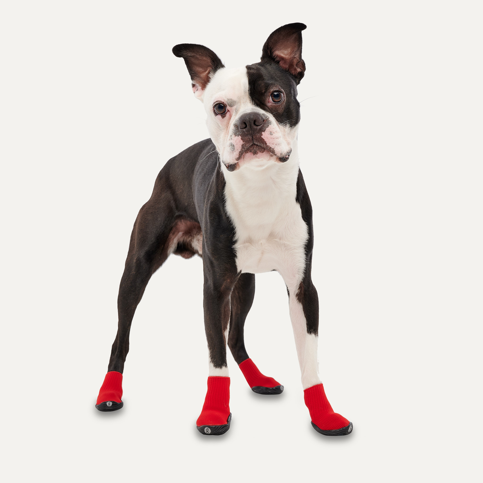 Goo-eez Dog Boots Ultras 2 Per Pack L Rood/Zwart — afbeelding 3