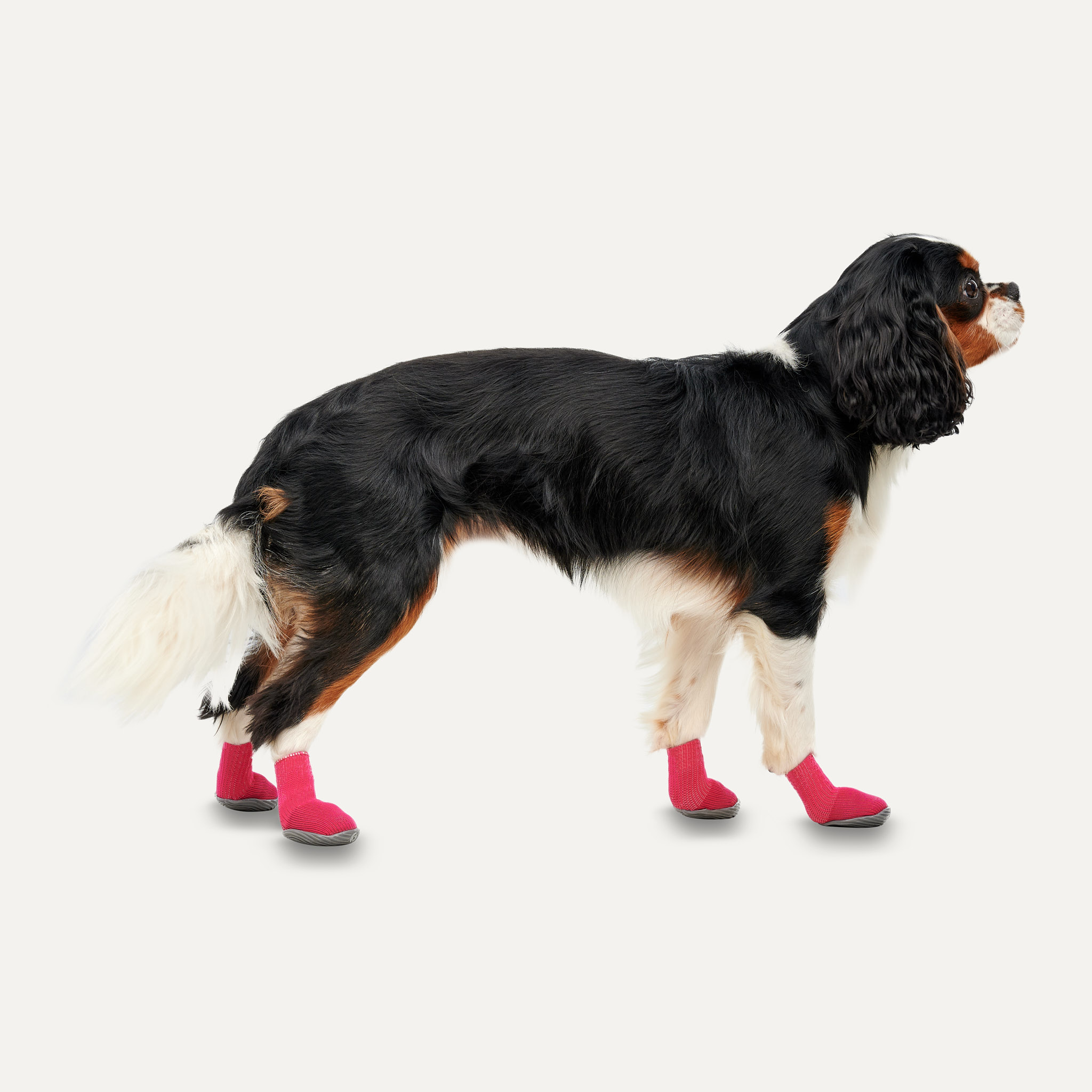 Goo-eez Dog Boots Ultras 2 Per Pack XL Rood/Zwart — afbeelding 2