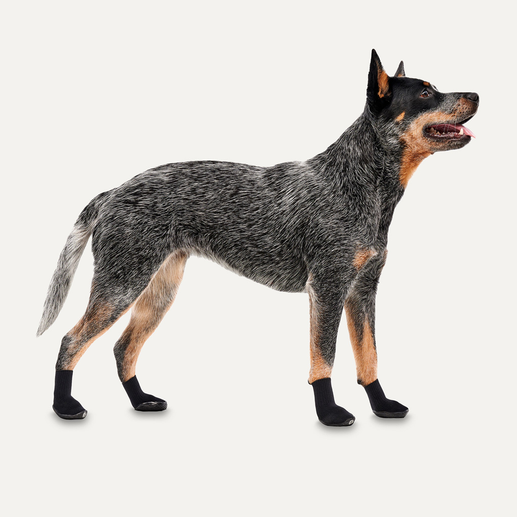 Goo-eez Dog Boots Lites 4 Per Pack XXS Zwart — afbeelding 2