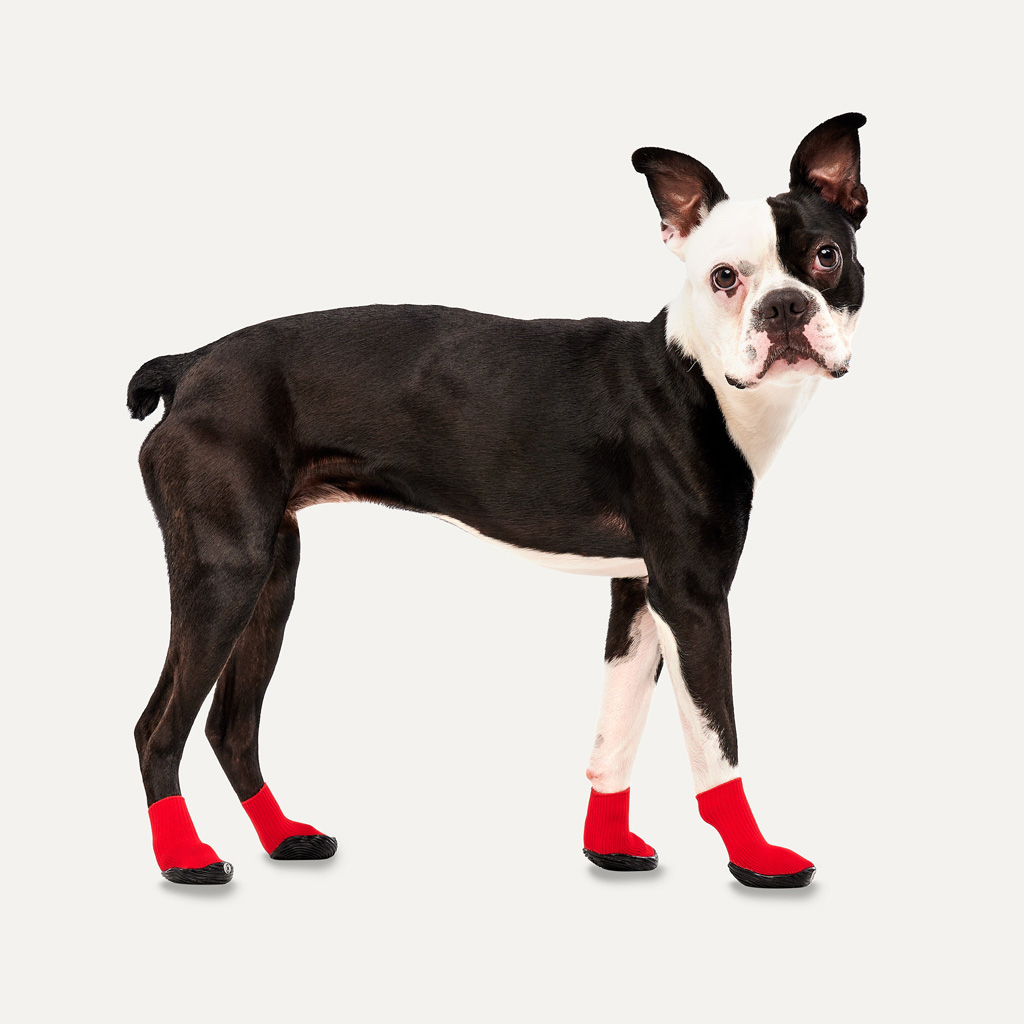 Goo-eez Dog Boots Lites 4 Per Pack L Rood/Zwart — afbeelding 3