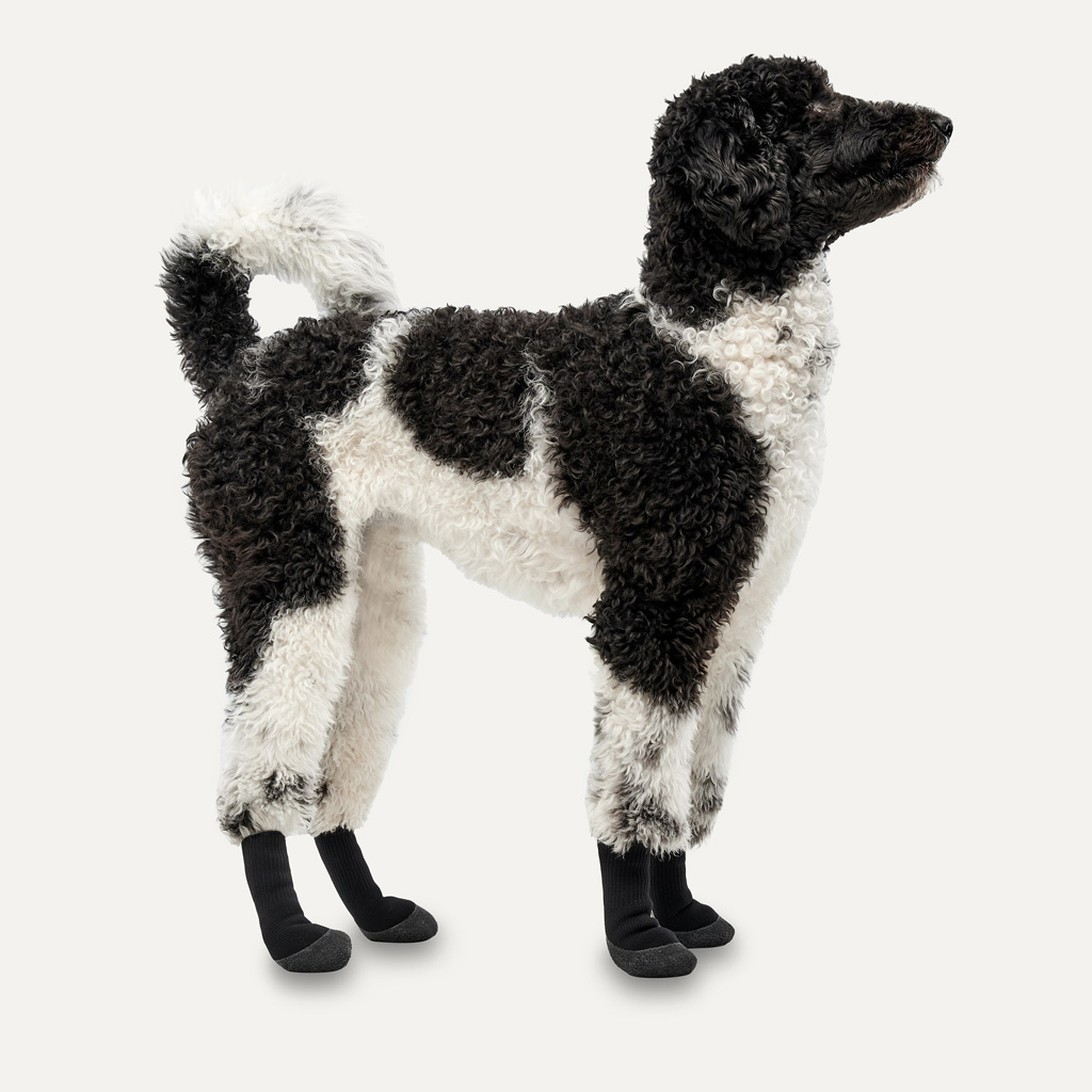 Goo-eez Dog Boots Lites 4 Per Pack XS Camo/Zwart — afbeelding 2