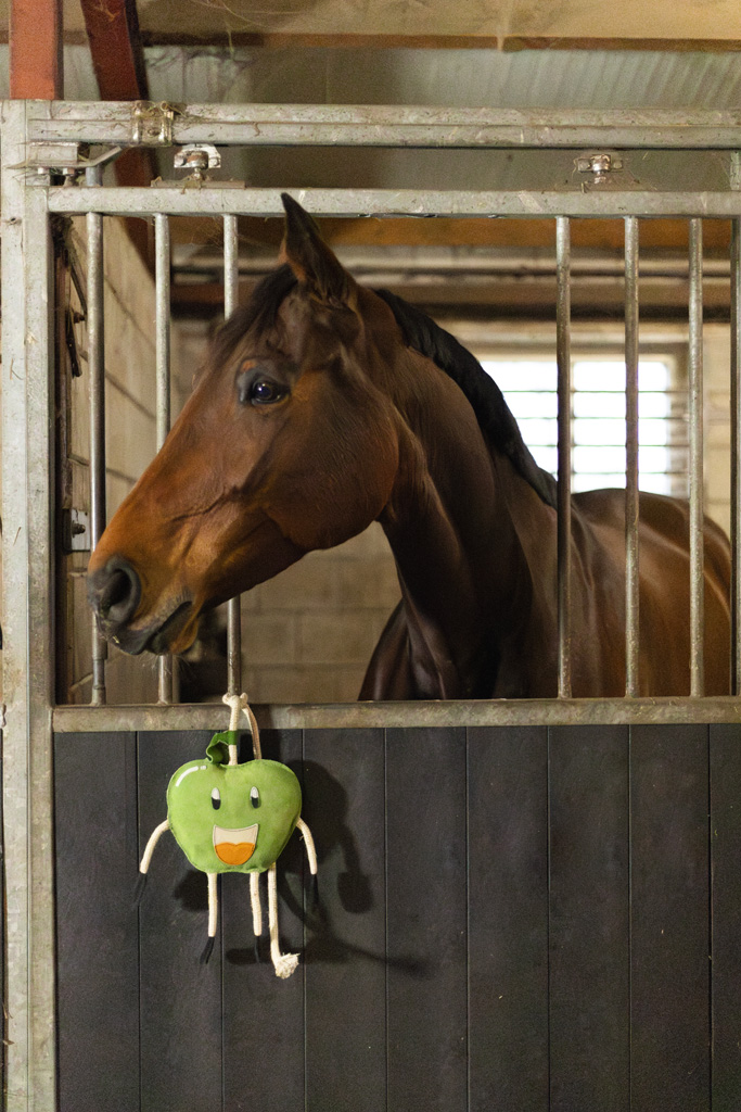 Excellent Horse Foodie Friends Apple — afbeelding 3