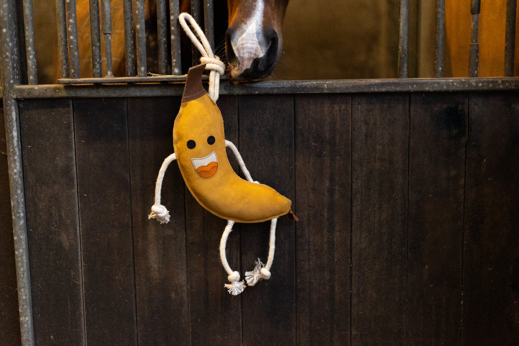 Excellent Horse Foodie Friends Banana — afbeelding 4